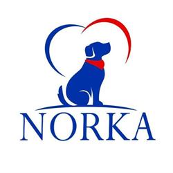 SKLEP ZOOLOGICZNY NORKA