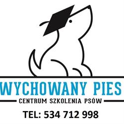 Centrum szkolenia psów - Wychowany pies, Szkolenie psów Olsztyn