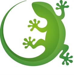 SKLEP ZOOLOGICZNY AGAMA