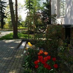 SŁONECZNE WZGÓRZE