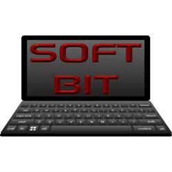SOFT BIT