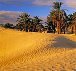 SOLARIUM GOBI