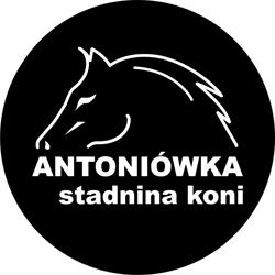 STADNINA KONI ANTONIÓWKA