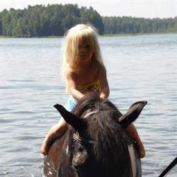 STADNINA KONI KLONEK