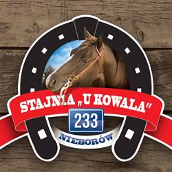 STAJNIA NIEBORÓW