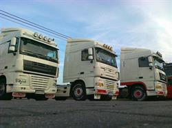 Przedsiębiorstwo Transportowo-Spedycyjne Marek Cegliński