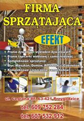 Joanna Stawicka "EFEKT"