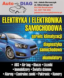 Auto-diag Jakub Borowczyk