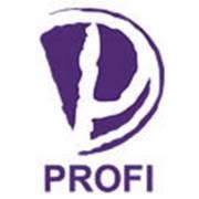 Profi Usługi Doradcze Piotr Redłowski