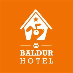 Hotel Baldur Grażyna Ekwińska