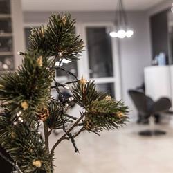 Sylwia Katarzyna Górska Salon Urody i Kreowania Wizerunku