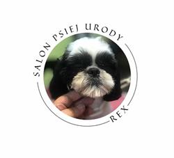 Salon psiej urody rex groomer