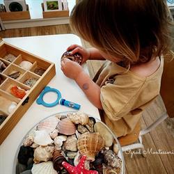 Niepubliczne Przedszkole Dwujęzyczne Ogród Montessori