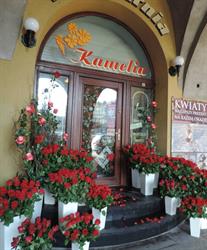 "Kamelia" Kwiaciarnia Małgorzata Matusz