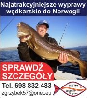 Zbigniew Grzybek HITRA