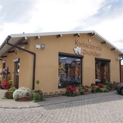 Kwiaciarnia "Orchidea" Komolec Justyna