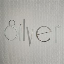 Dorota Morsztyn Salon Urody Silver