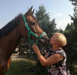 Małgorzata Dobrut Ośrodek Hippiczno Rekreacyjny Bretania
