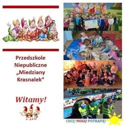 Przedszkole Niepubliczne "Miedziany Krasnalek"