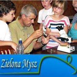ZIELONA MYSZ Usługi Edukacyjne Rafał Łęcki