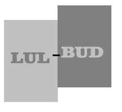 LUL-BUD Przedsiębiorstwo Budowlane