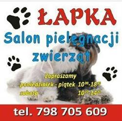Łapka - Salon Pielęgnacji Zwierząt / Groomer / Strzyżenie Psów / Psi Fryzjer