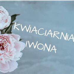Iwona Kasperek Kwiaciarnia Iwona