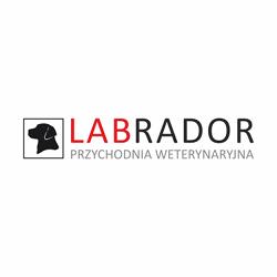 Przychodnia Weterynaryjna Labrador Michał Metyk
