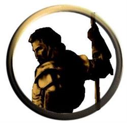 Agencja Ochrony Osób i Mienia Ronin's'.