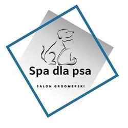Natalia Wojtkowiak Spa dla Psa