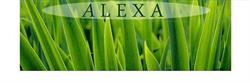 Firma Alexa Aleksandra Gajdzik