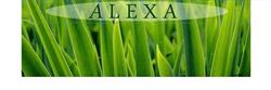 Firma Alexa Aleksandra Gajdzik