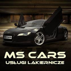 MS CARS Michał Steć