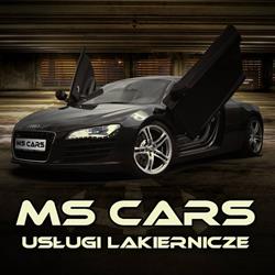 MS CARS Michał Steć