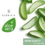 aloe via