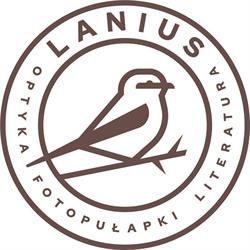 Lanius Books Marcin Filipek