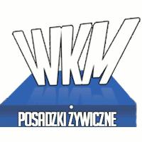 WKM Posadzki Żywiczne Wiesław Mocniak