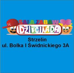"Dziecinada" Sala Zabaw Paweł Mihułka