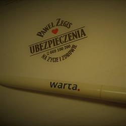 Ubezpieczenia Paweł Żegis