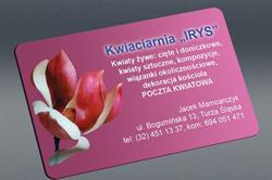 Kwiaciarnia Irys Jacek Mamcarczyk
