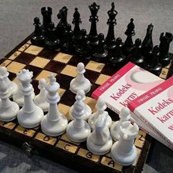ADWOKAT ANNA MACIERZYŃSKA KANCELARIA ADWOKACKA