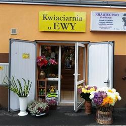 Ewa Zając Kwiaciarnia U Ewy