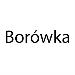 BORÓWKA Anna Wdówik