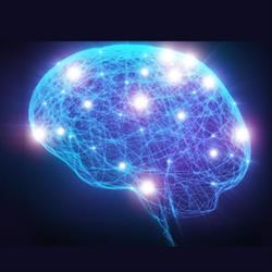 Niepuliczna Poradnia Psychologiczno-Pedagogiczna dla Dzieci i Młodzieży