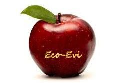 Eco-Evi Rękodzieła Ewa Tomaszewska