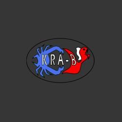 KRA B IMPORT EXPORT