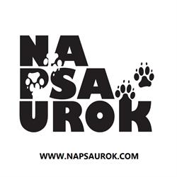 NA PSA UROK ZOOPSYCHOLOG SZKOLENIE PSÓW KATARZYNA MŁODZIANOWSKA
