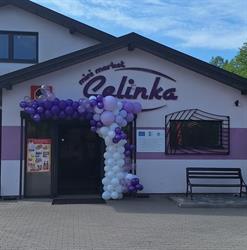MINI MARKET CELINKA
