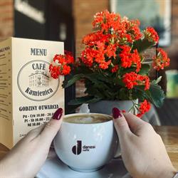 Cafe Kamienica