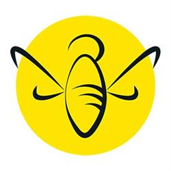 Hornet Design Studio